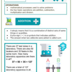 The Four Fundamental Operations Of Whole Numbers 4th Grade Math